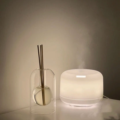 sanceo Japanese Aromatherapy Diffuser Vase